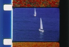 VOILIERS ET COQUELICOTS