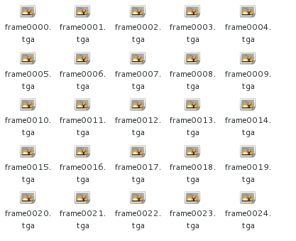RawImageSequenceOutput.png