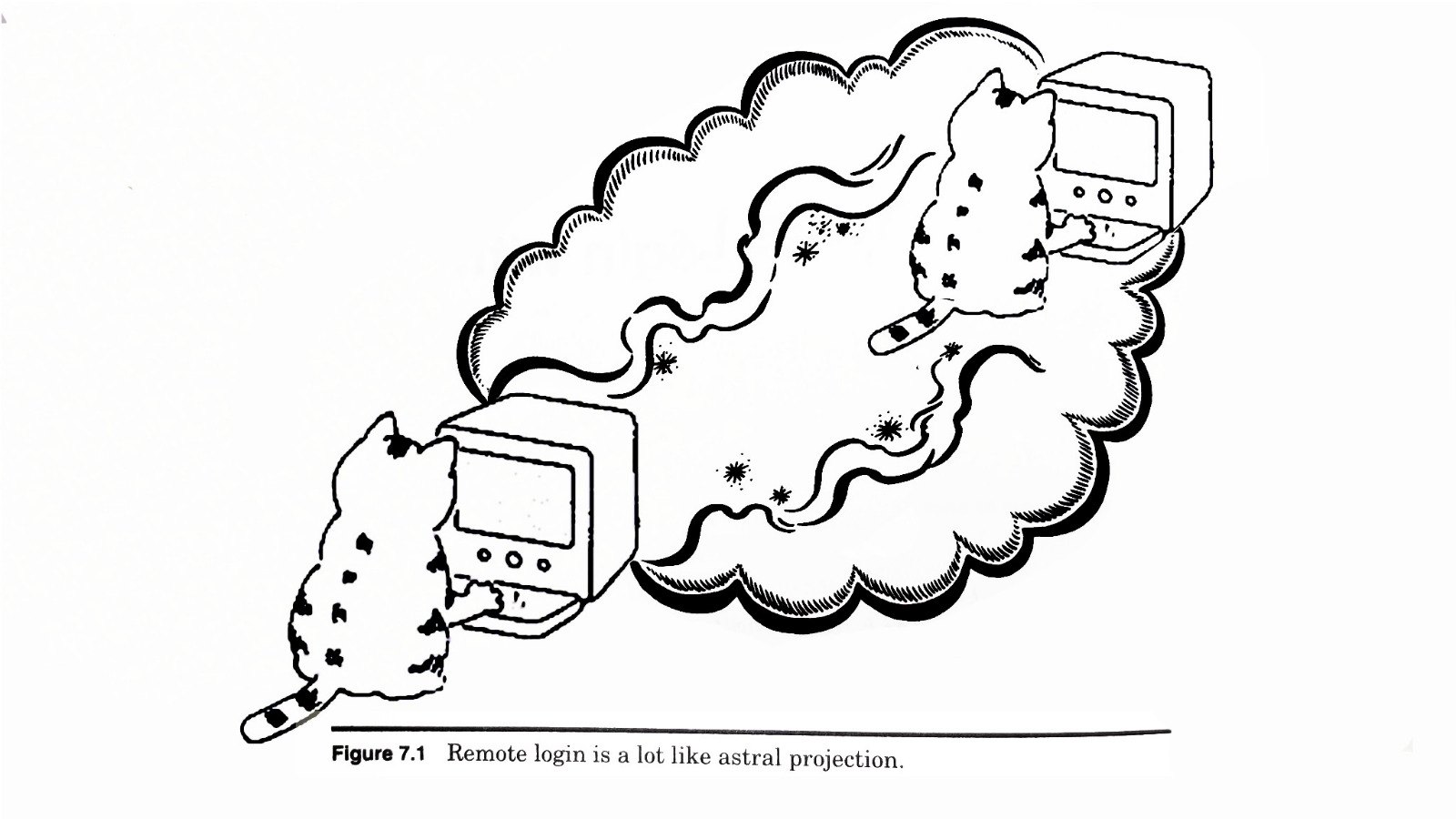 Cat remote login.jpeg