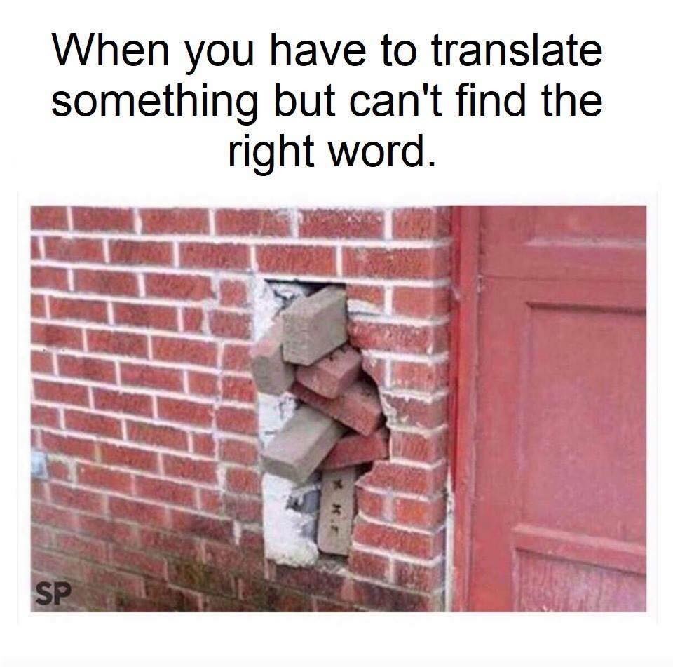 36064649 1867233446669269 3062189992739602432 n.jpg