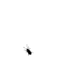 Bug.gif