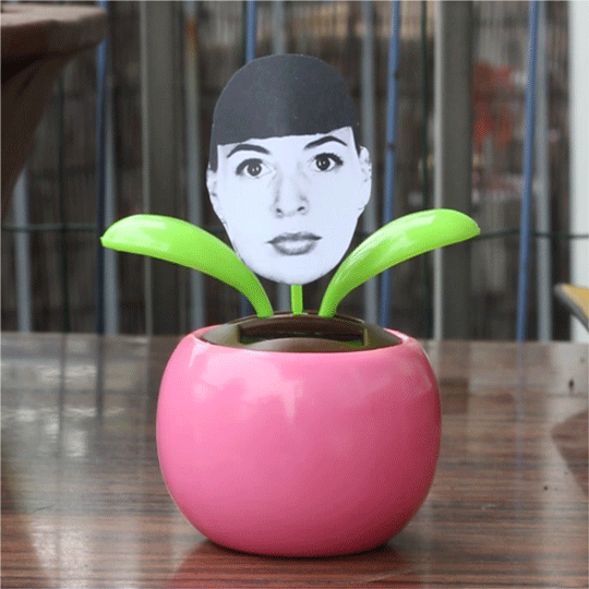 Flower-me-gif.gif