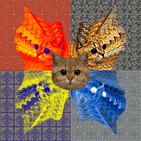 Cathuh.gif