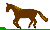 Horse2 gf.gif