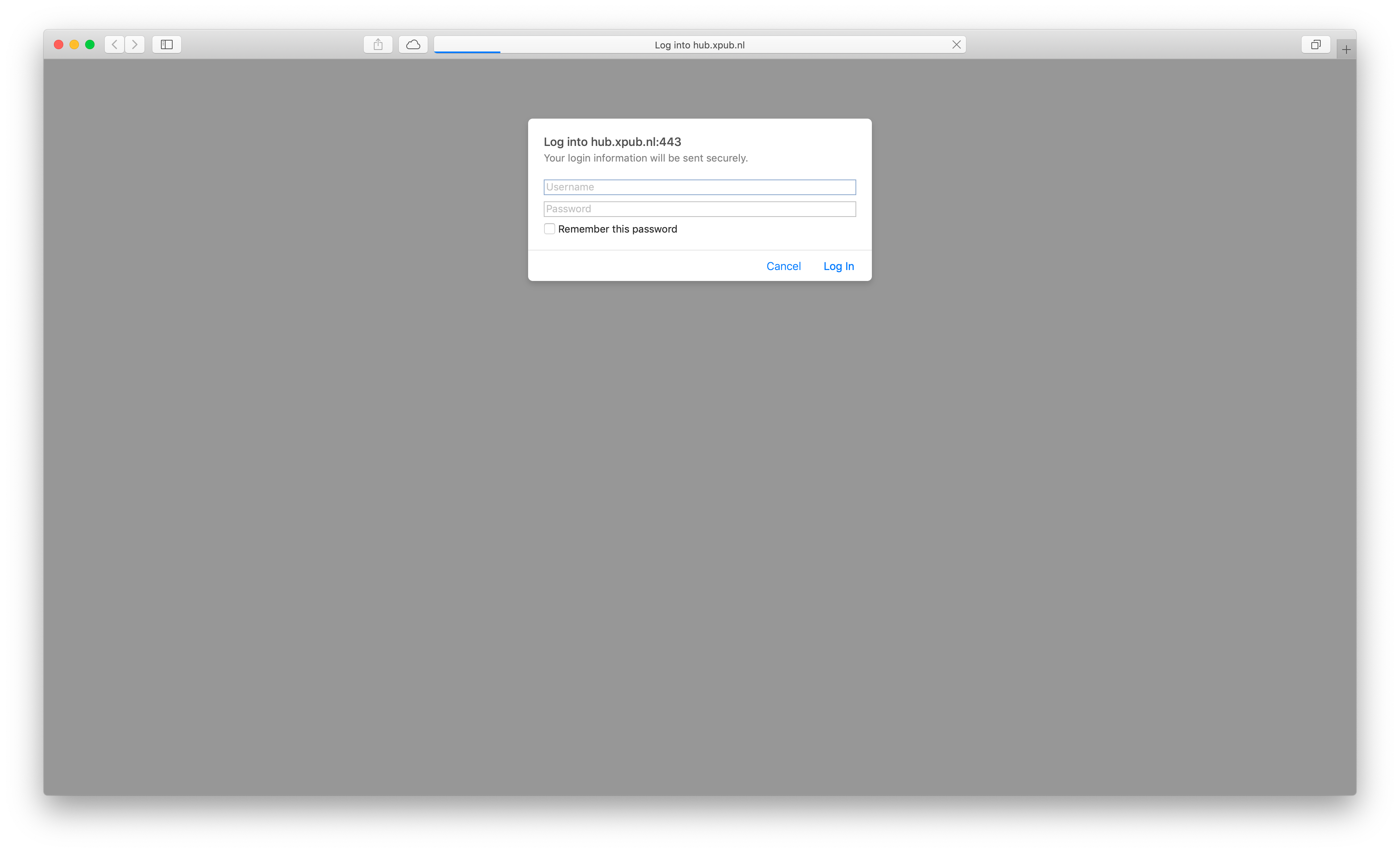 What you see on arrival at hub.xpub.nl/bootleglibrary, before entering in HTTP login details