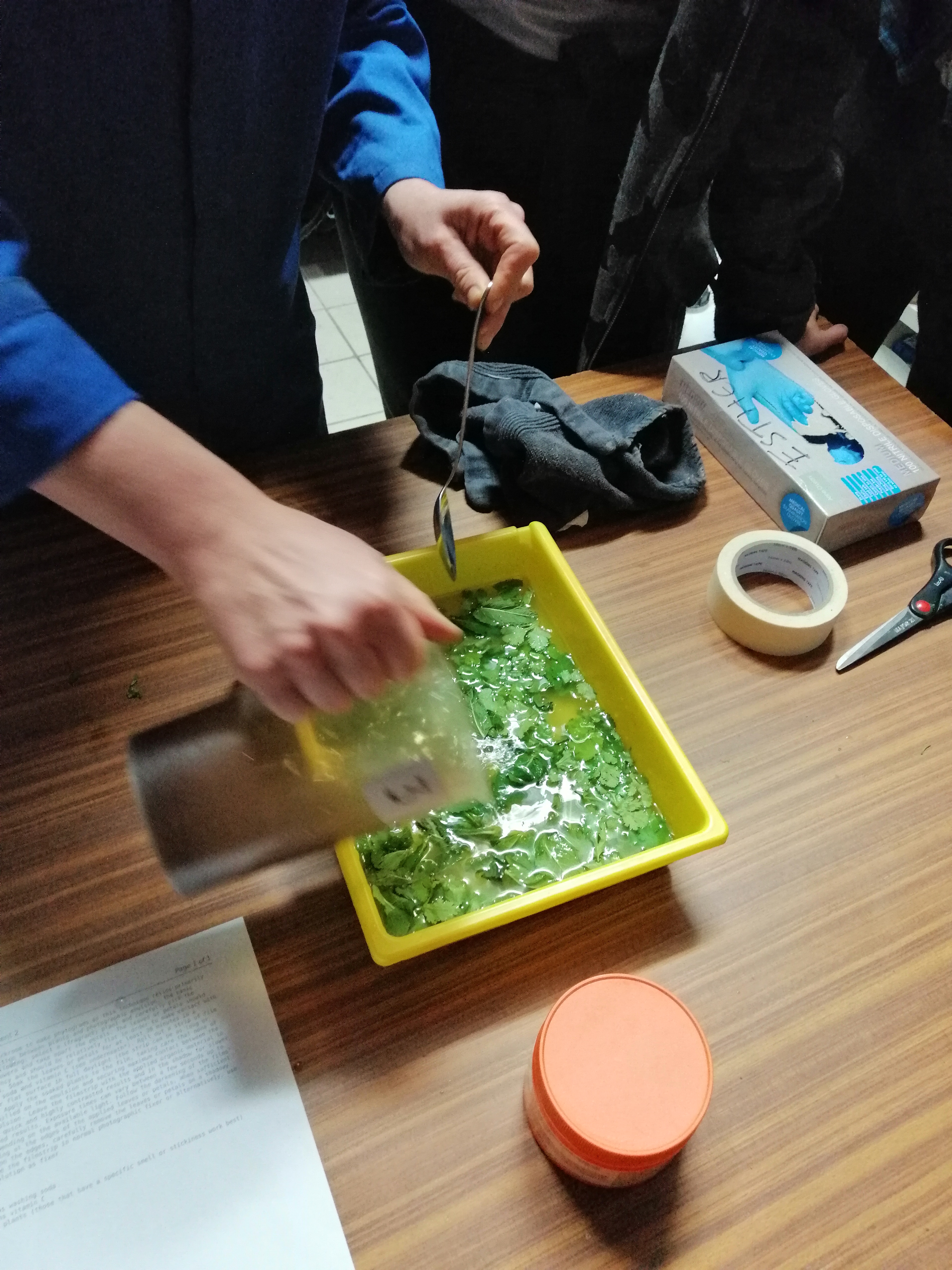 Making developer with plants