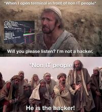 TERMINAL.jpg