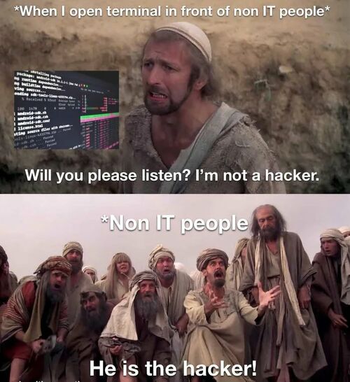 TERMINAL.jpg