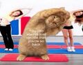 2dd9bf1791d5ed10b433315db977ce04.jpg