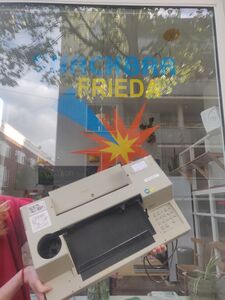 PPP-Frieda-20250504-5.jpg