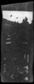 Washi-2.jpg