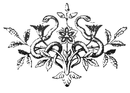 Snake transparent.png
