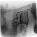Img011.jpg