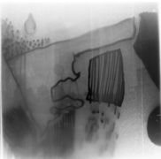 Img011.jpg