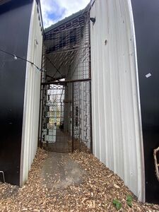 Brienenoord-20250326-mania-7.jpg
