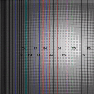 OscillatorGifWiki.gif
