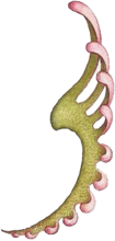 Banner3.png