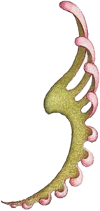 Banner3.png