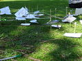 DSC00728.JPG