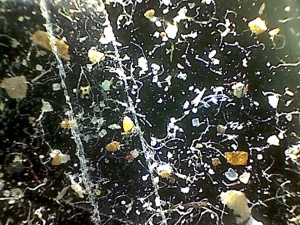 140316022953133.jpg