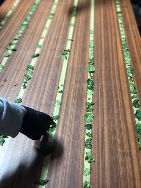 Leaves1.jpg