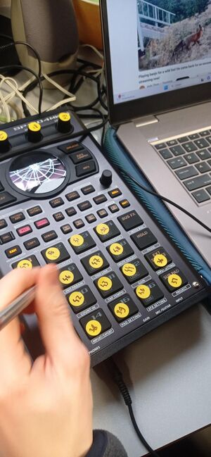 Loading sounds of instruments aplhabetical order on the Roland sampler.jpg