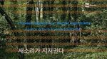 transcription-with grgr