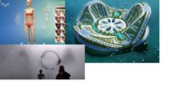 UtopiaTest