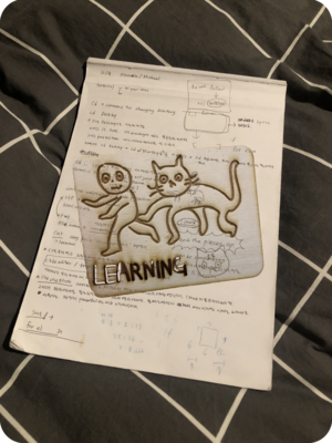Si16 notebook