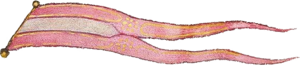 Banner2.png