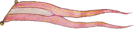 Banner2.png
