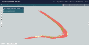Example Kingman Reef .png