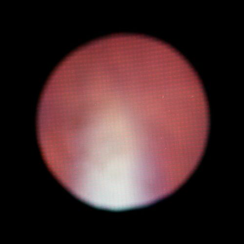 Image12.jpg