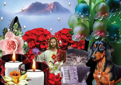 Collage.jpg