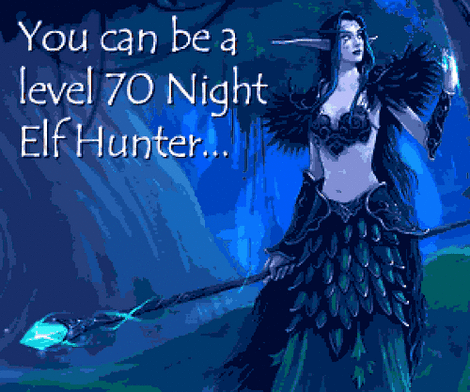 Lvl70elf.gif