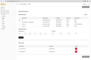 Screenshot of DHCP settings from part of the Ziggo router interface.