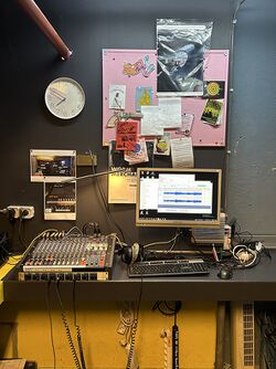 Radio Worm.jpg