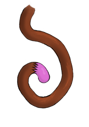 Tail.png