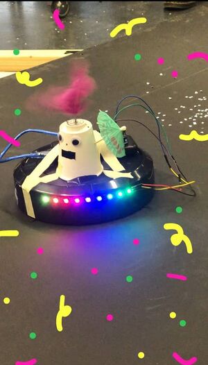 Bobo loves to party, twirl, spin, spit glitter and clean up their own mess.