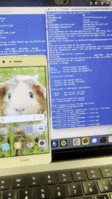 ChangingWallpaper.gif