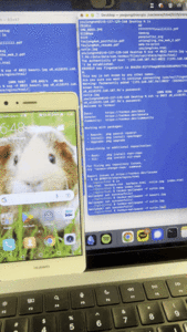 ChangingWallpaper.gif