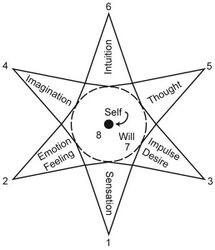 Assagioli star diagram.jpg