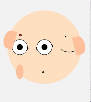 Face-pazzle1.pic.jpg