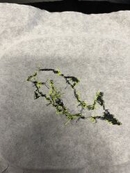 Chrissys-embroidery 02.jpg