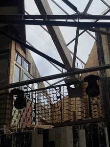Brienenoord-20250326-mania-1.jpg