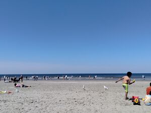 Beach-day.jpg