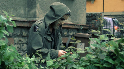 BSTRD 900px wide.jpg