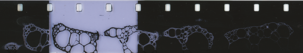 Bubble.png