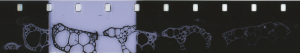 Bubble.png