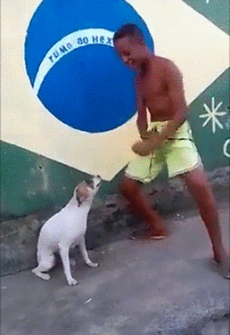 Anigif enhanced-13943-1454676808-10.gif